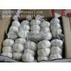 China White Garlic 5.0cm