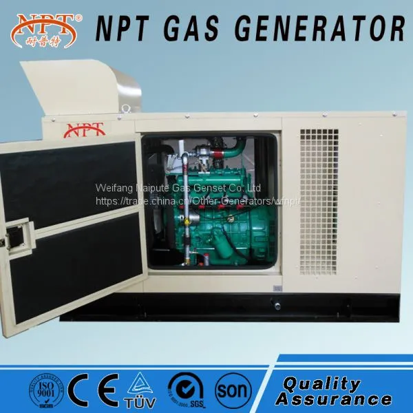 10-1000kW Gas Generator From Weifang Naipute