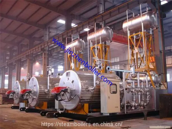 700kw Hot Oil Boiler Thermic Fluid Heater Thermal Oil Furnace for Concrete Elements Curing photo-5