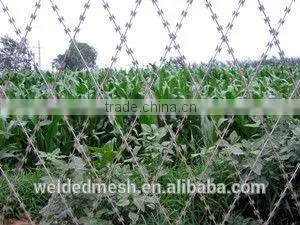 Security Fence(manufacturer) photo-6
