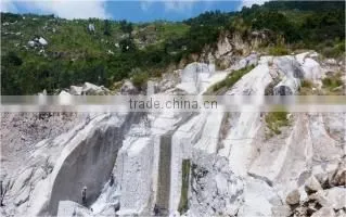 CaCO3 Powder Widely Used Mineral in the Paper, Plastics, Paints; Coatings Industries, Filler; Due to Its Special White Color photo-2