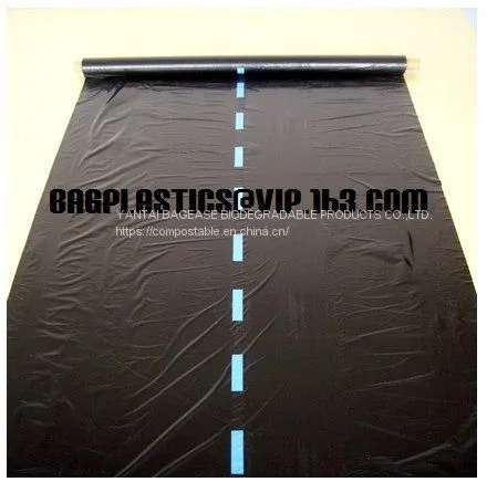Agricultural Film, pe Film, Horticultural Mulch Film, Garden Perforated Ground Film,Mulching Films, Garden Film, pe Film photo-4