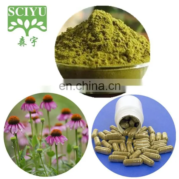 Bulk 4% Polyphenol Echinacea Purpurea Extract Powder photo-3