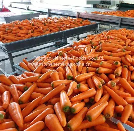 Cauliflower, Broccoli,carrots,sweet Corn, Garlic Frozen Vegetables photo-4