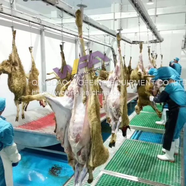 Industrial SUS304 Stainless Steel Sheep Slaughterhouse 120-Engineers Team Standardized Goat Fabrication WFA photo-5