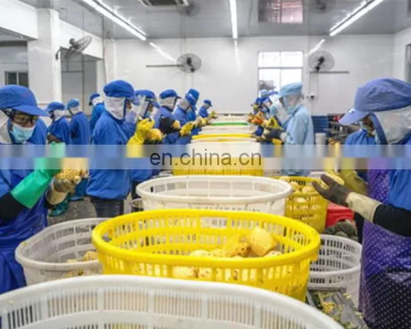 Small Scale Pineapple Jam Processing Plant photo-2