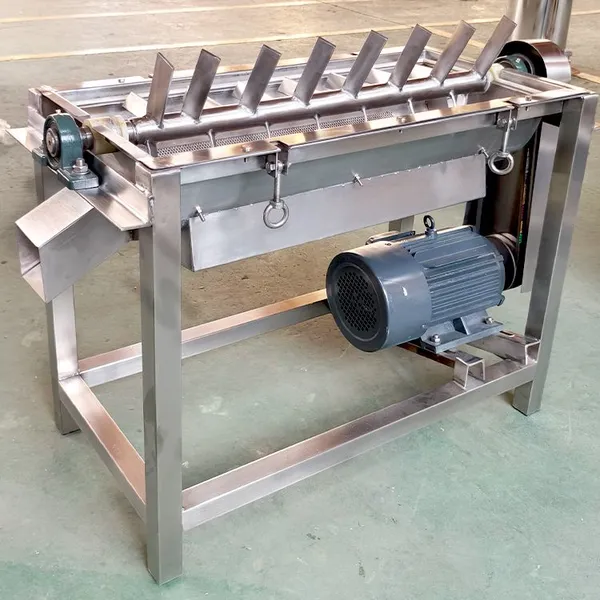 Multifunctional Dual-Track Fruit and Vegetable Pulper Machine photo-2