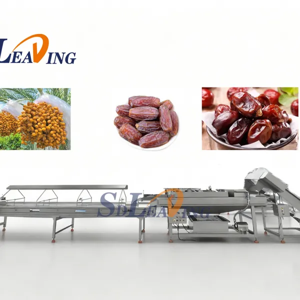 Turnkey Project Industrial Palm Dates Processing Machine Full Automatic Dates Washing Grading Pitting Packing Production Line photo-3