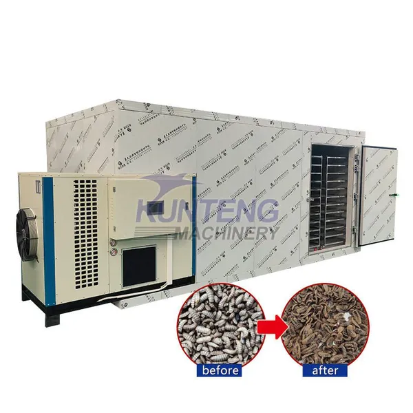 Black Soldier Fly Larvae Dryer Bsf Larvae Drying Machine Spice and Vegetable Dryer Room EPC