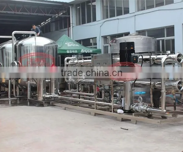 2000Liter/h Ro Water Purifier/purified Mineral Water Treatment Facilities photo-3