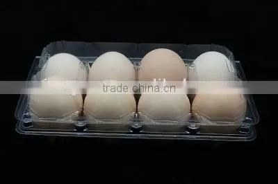 Disposable Plastic Eggs Tray 15 Holes photo-6