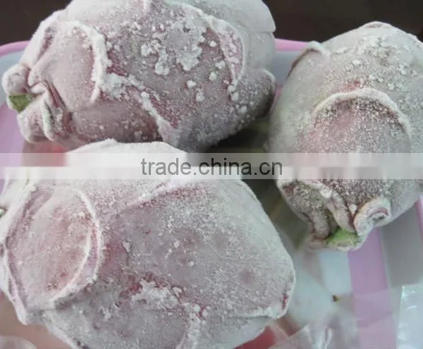 HIGH QUALITY FROZEN DRAGON FRUIT