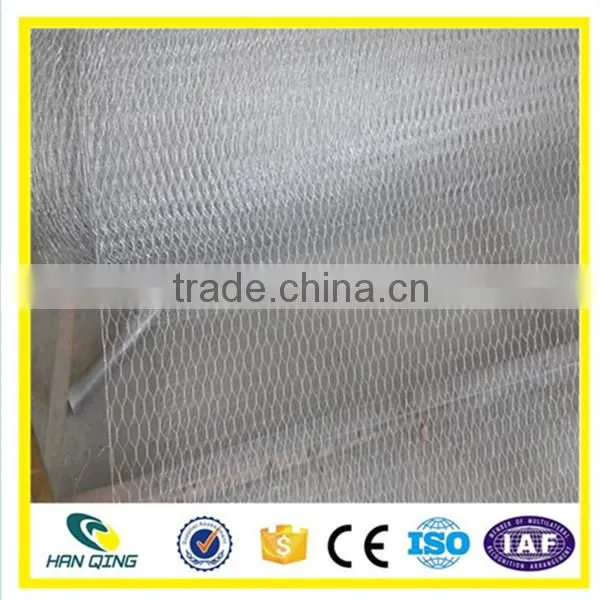 Best Price Hexagonal Mesh From Anping Factory photo-4