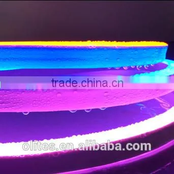 LED Outdoor Lighting 12W per Meter Min Cutting Length 3.94"/10cm Flexible LED Linear Light photo-3