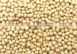 New Crop Yellow Soybeans With Good Quality for Sale photo-3
