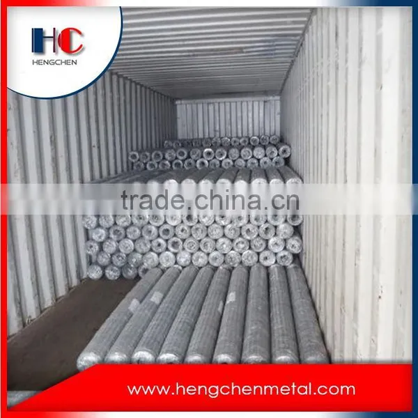 Cheap Fish Trap Stone Cage Nets Galvanized Hexagonal Wire Mesh photo-6