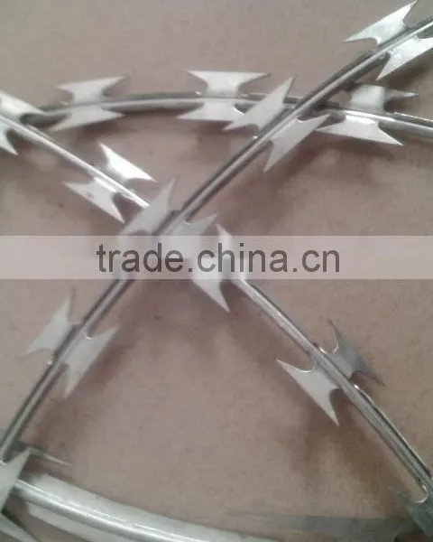 ISO9001:2000 Certified Manufacturer Safety Clips Razor Wire/production of Blades/Razor Barbed Wire Philippines photo-4