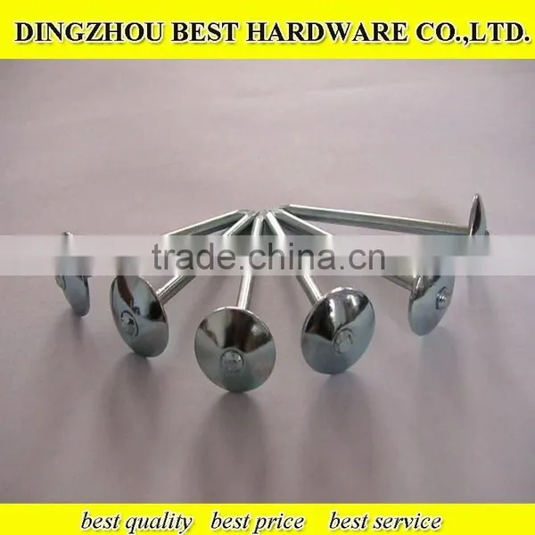 Roofing Nail With Umbrella Head photo-6