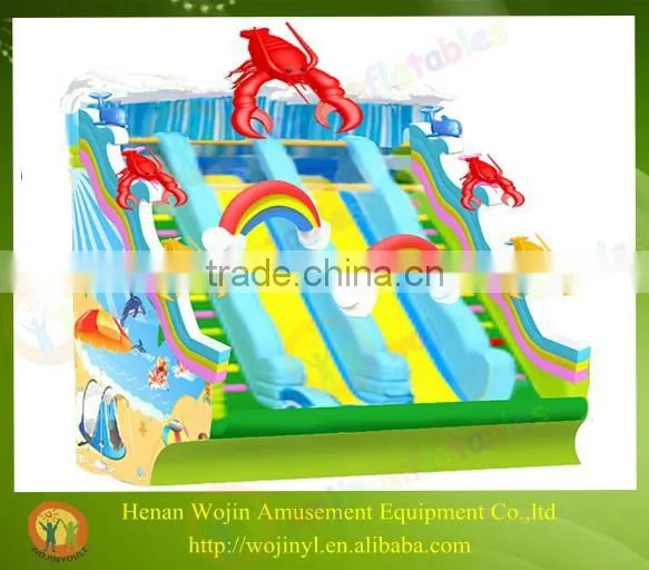 Giant Inflatable Water Slide for Adult photo-4