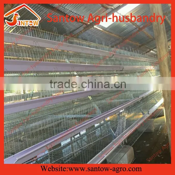 Automatic Poultry Equipments Egg Layer Chicken Battery Cage photo-5