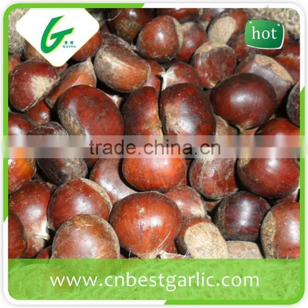 Price Chinese Raw Wholesale Frozen Chestnuts photo-5