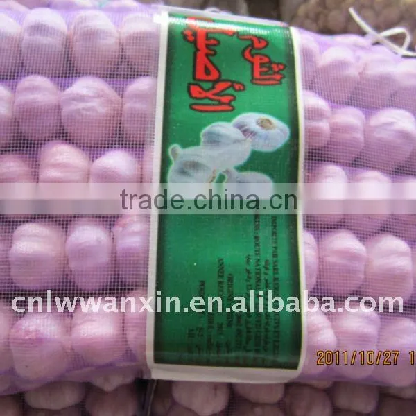 6 cm Garlic