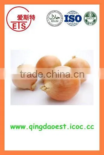 Fresh New Crop Yellow Onion PRODUCTS From China photo-2