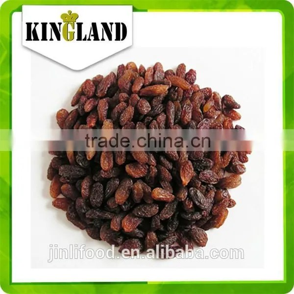 High Quality AAA Sultana Raisin Mix Color photo-6