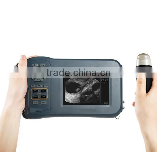 Vet Ultrasound Scanner