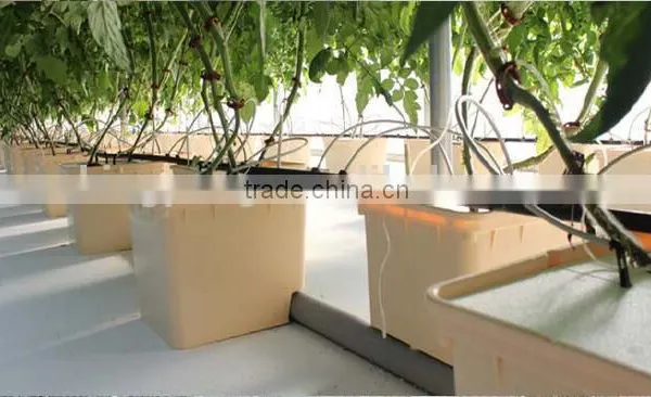 Dutch Bucket Cultivation System photo-3