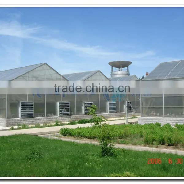 Large Pinnacle Ridge Roof PC Greenhouse photo-2