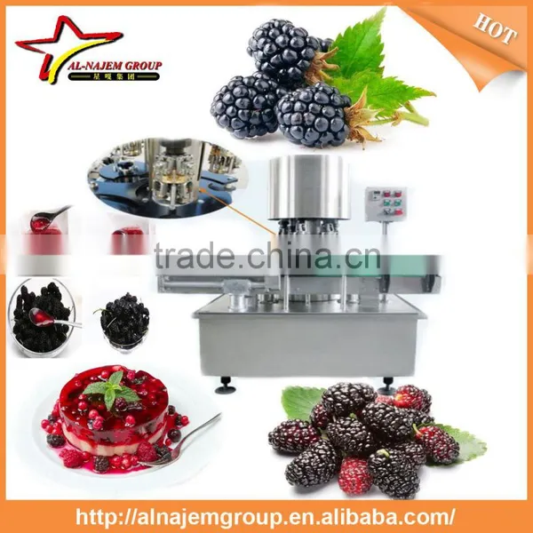 Mulberry Paste Making Production Line High Viscosity Liquid Filling Machine photo-2