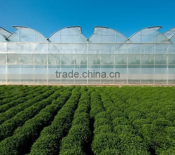 Greenhouse photo-2