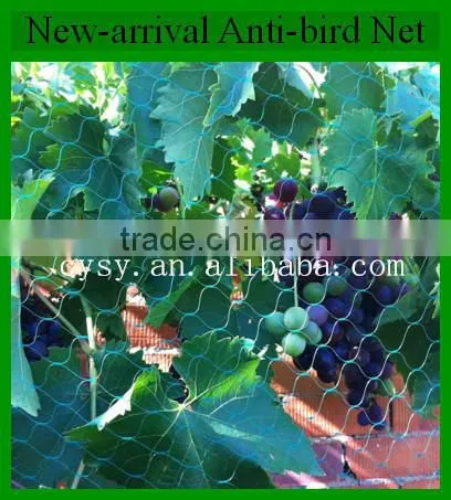hdpe agricultural bird netting, plastic garden bird catch net for sale