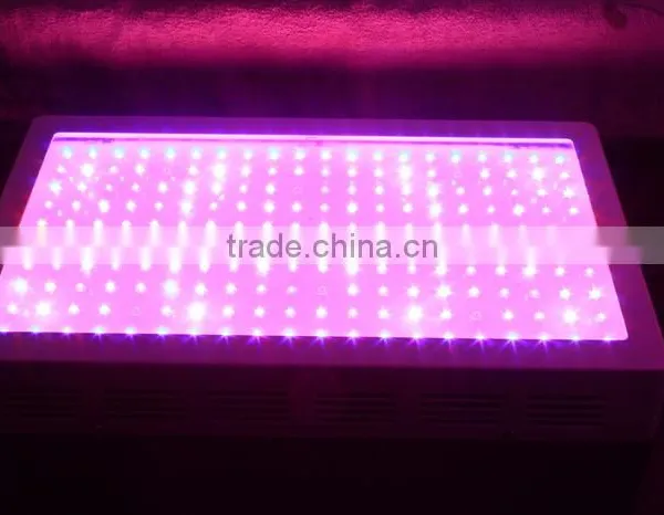 High Quality Greenhouse Cheap 600w Led Grow Lights for Sale photo-4