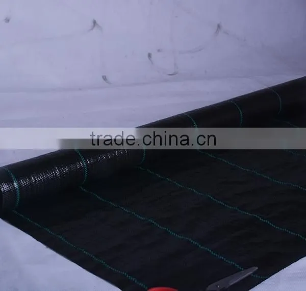 pp Ground Cover Mesh Fabric photo-2