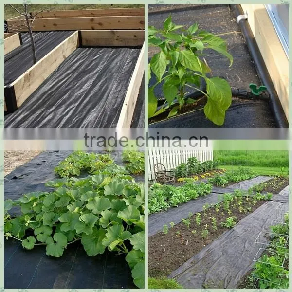 Organic Weed Barrier photo-4