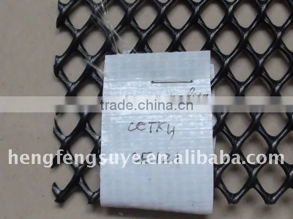 Quality Polyester Geogrid/ Fiberglass Geogrid / Geonet Driect China Factory photo-4