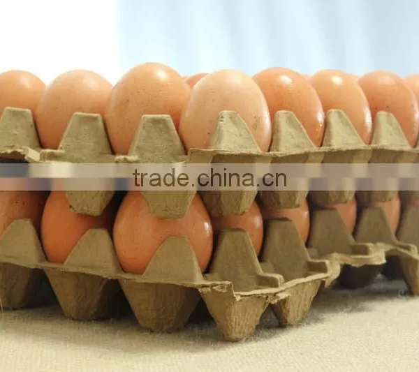 Compostable Wheat Straw 30 Egg Tray From Virgin Straw Pulp Not Waste Paper photo-3