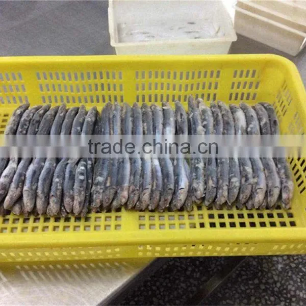 New Season Fresh Frozen Whole Round Anchovy photo-3
