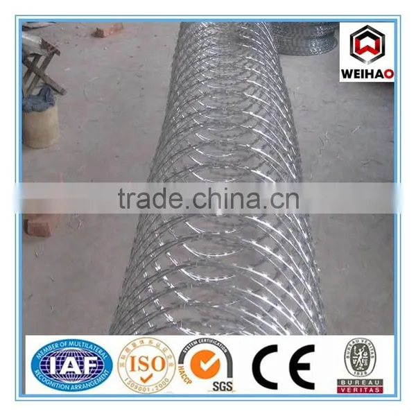 WEIHAO Hot Selling Galvanized Concertina Razor Barbed Wire photo-4