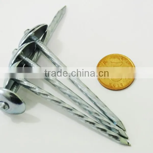China Unique Galvanized Roofing Nails With Umbrella Head photo-3