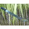 Sell M1778A Sugarcane Machete Cane Knives