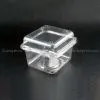 Plastic Food Container (cake & Fruit Box)