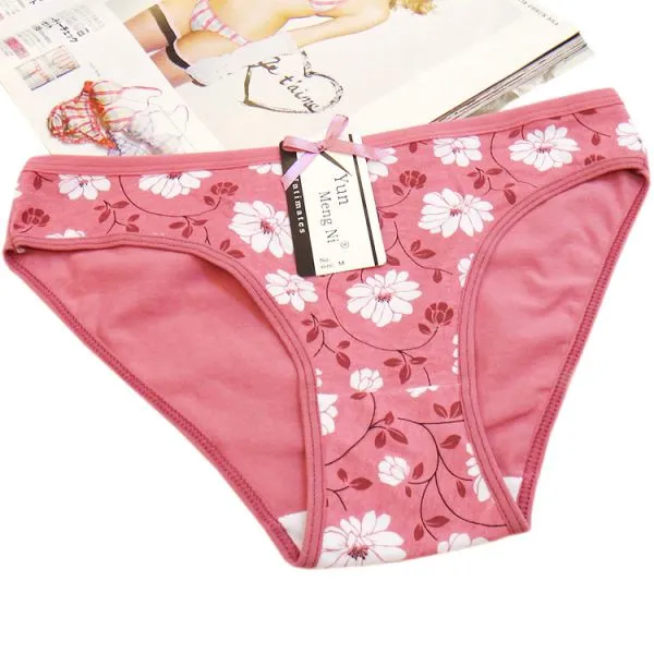 Yun Meng Ni Sexy Underwear Breathable Cotton Panty For Women Factory Price Printed Lingerie photo-4