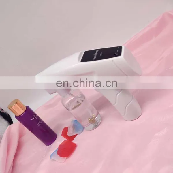 Handheld Nano Blue-Ray Electrostatic Spray Gun Air Purification Portable Nano Micro Misty Machine photo-6
