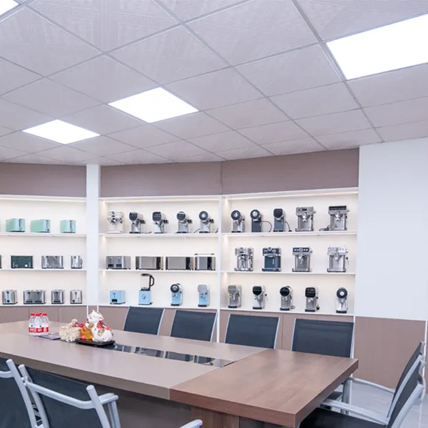 Guangdong Shunde Tenfly Electrical Applince Co., Ltd company overview - view 4