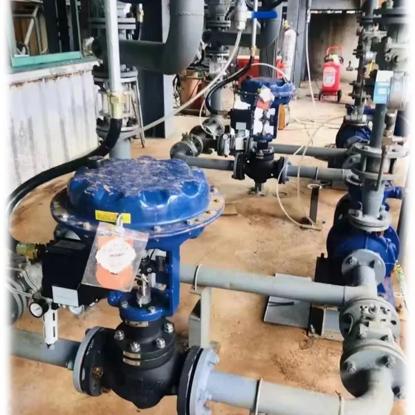 Food Grade Control Valve With CIP Cleaning Compatibility photo-5