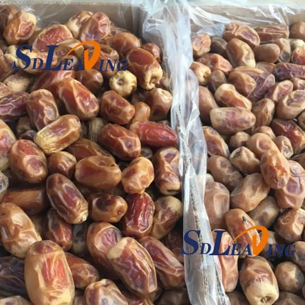 2026 New Design Palm Dates Brush Polishing Cleaning Machine Automatic Industrial Date Palm Dry Cleaning and Polishing Equipment photo-3