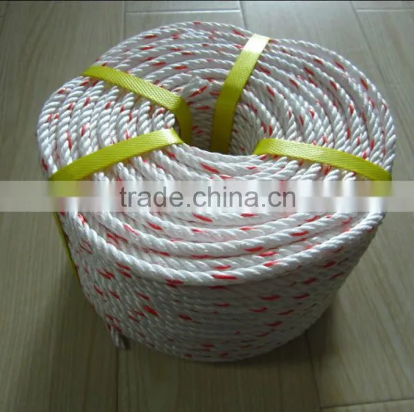 PP Danline Rope For Indonesia and Malaysia Market photo-2